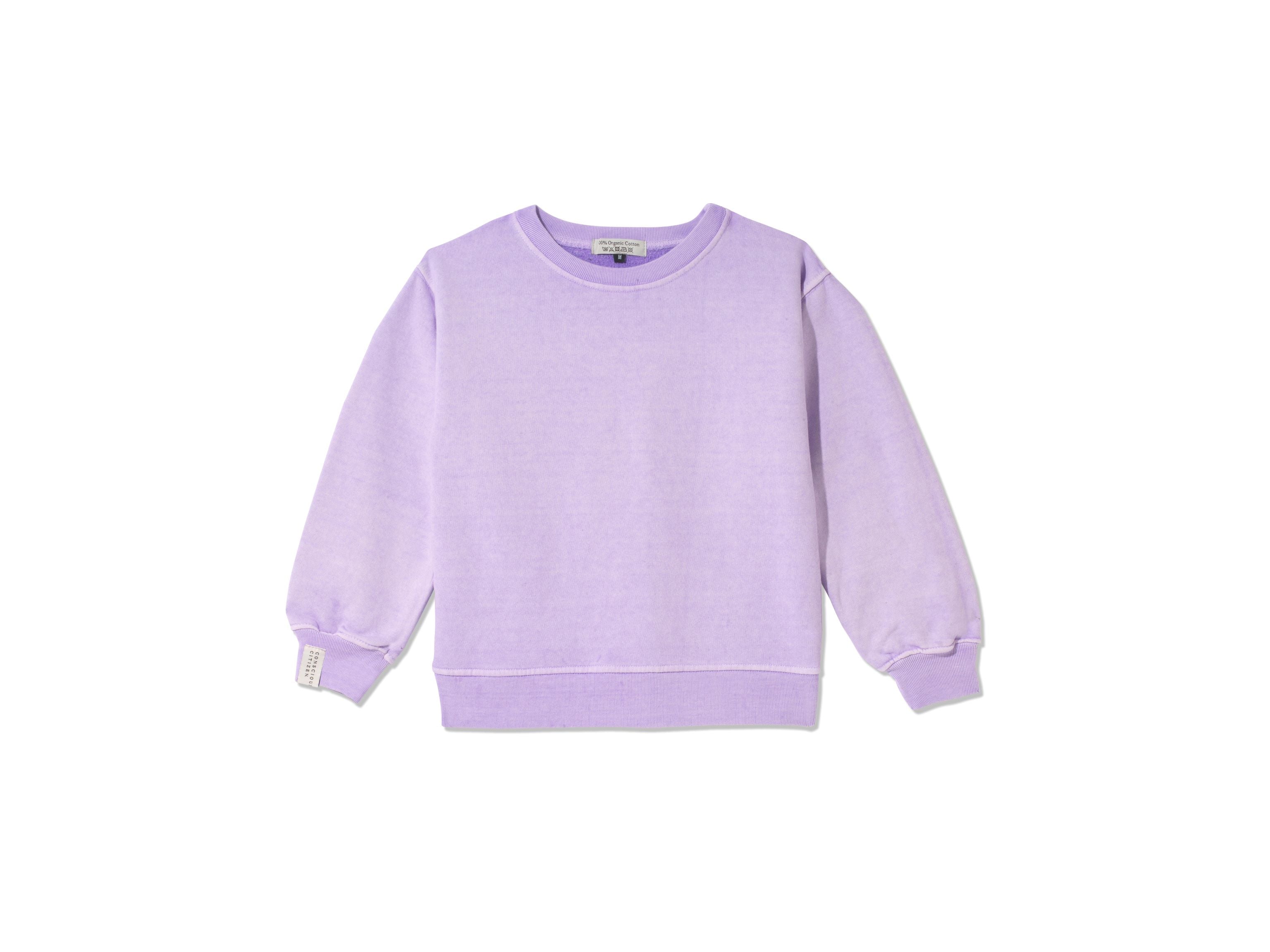 Mini Me Lavender Sweatshirt