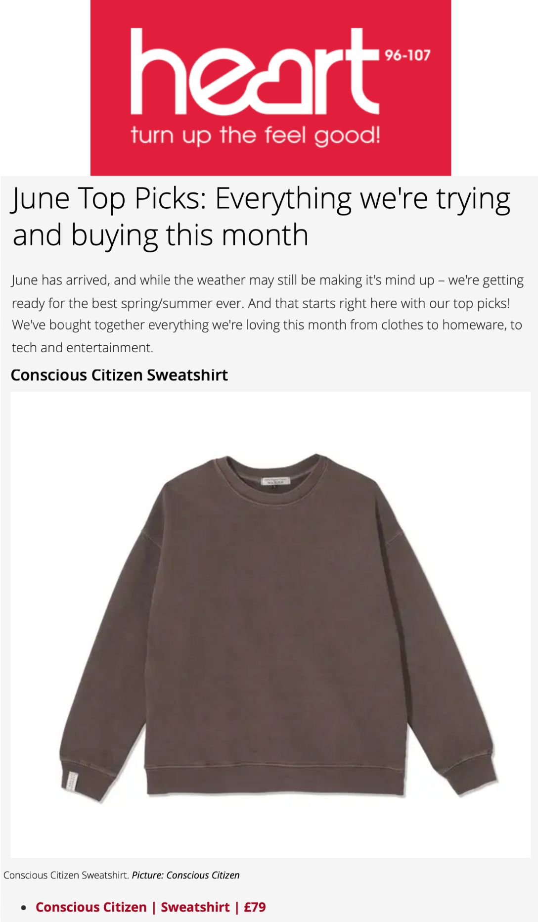 organic cotton oversized sweatshirt 